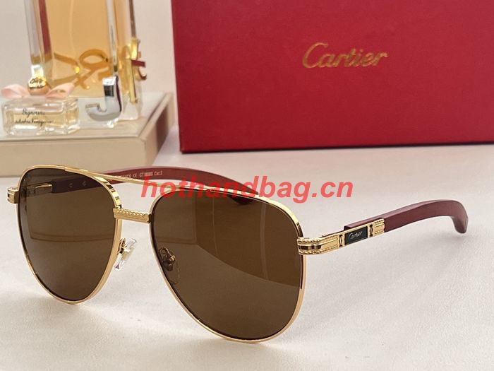 Cartier Sunglasses Top Quality CAS00937