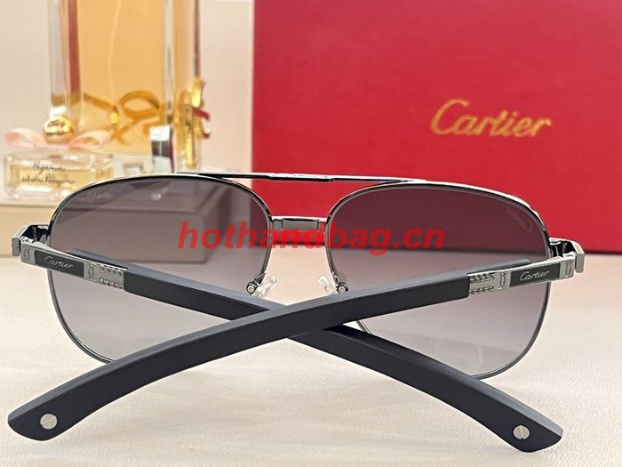 Cartier Sunglasses Top Quality CAS00941