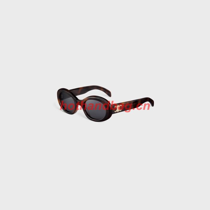 Celine Sunglasses Top Quality CES00715