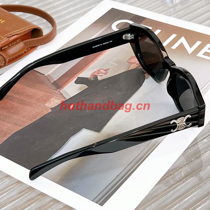Celine Sunglasses Top Quality CES00736