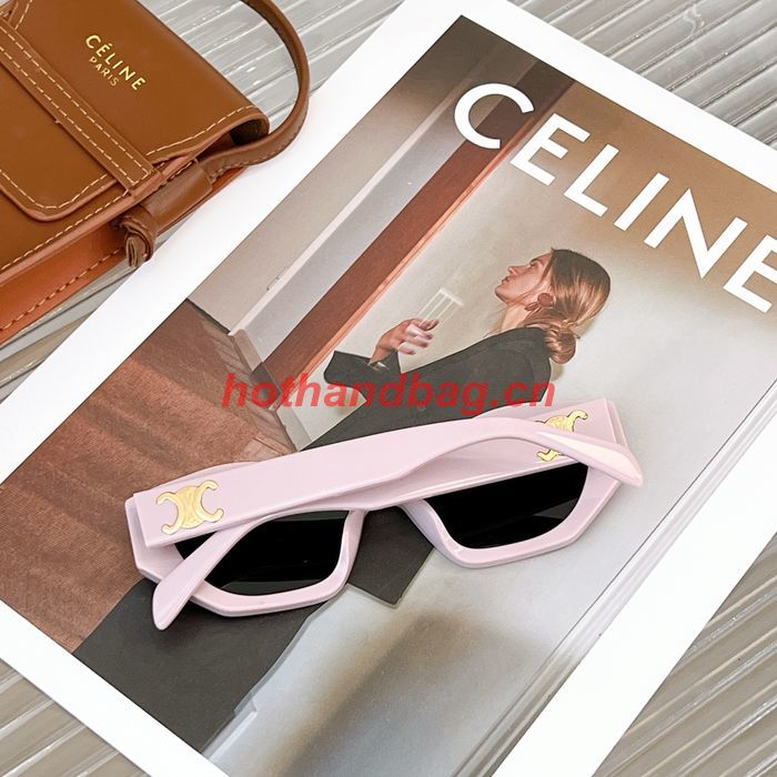 Celine Sunglasses Top Quality CES00743