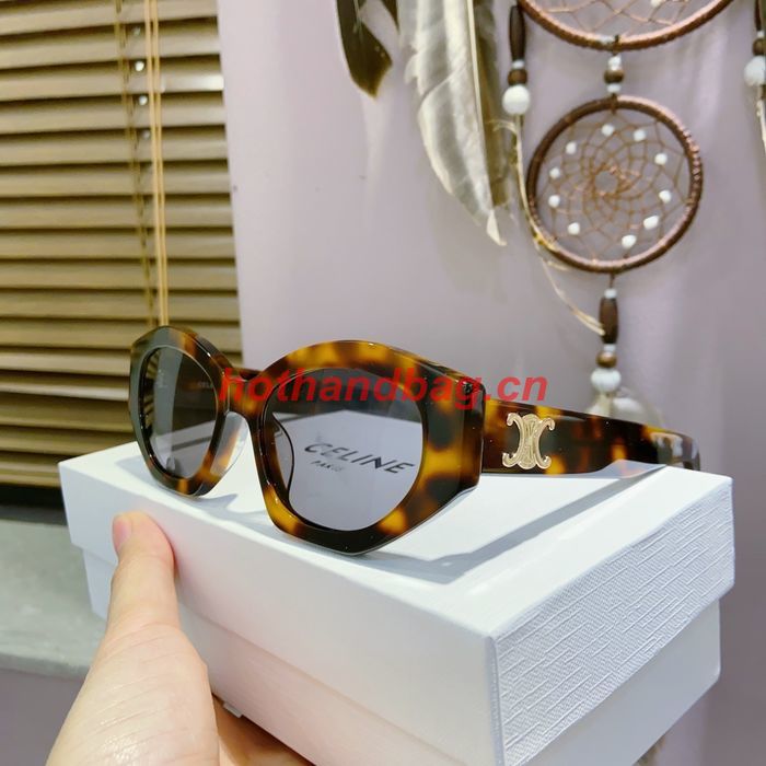 Celine Sunglasses Top Quality CES00972