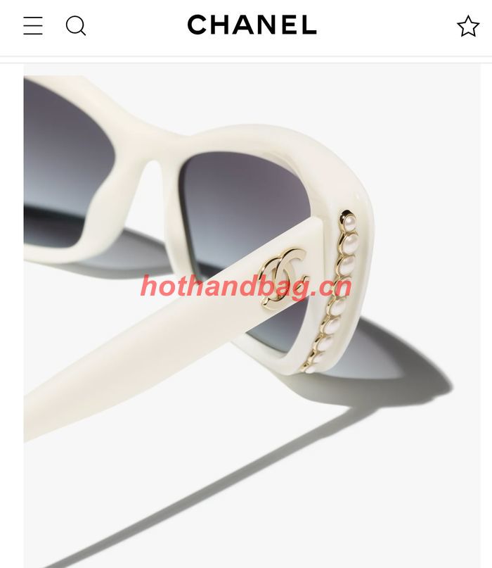 Chanel Sunglasses Top Quality CHS05003
