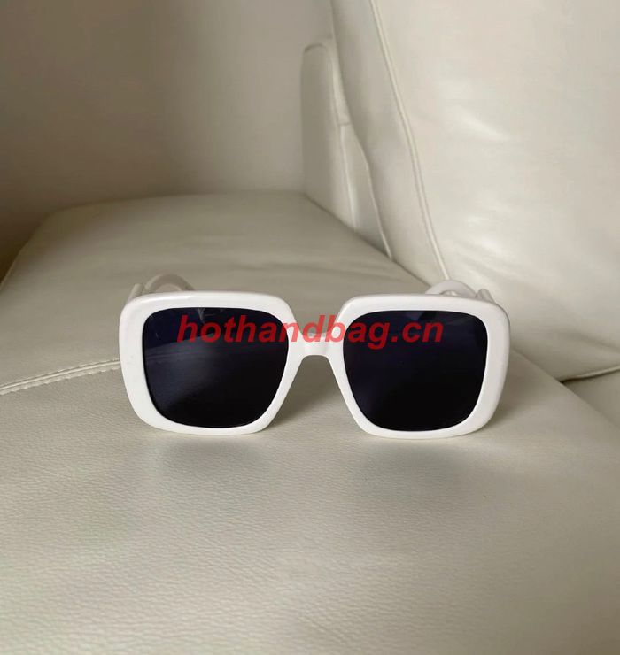 Dior Sunglasses Top Quality DIS02783