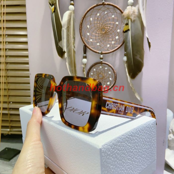 Dior Sunglasses Top Quality DIS02795