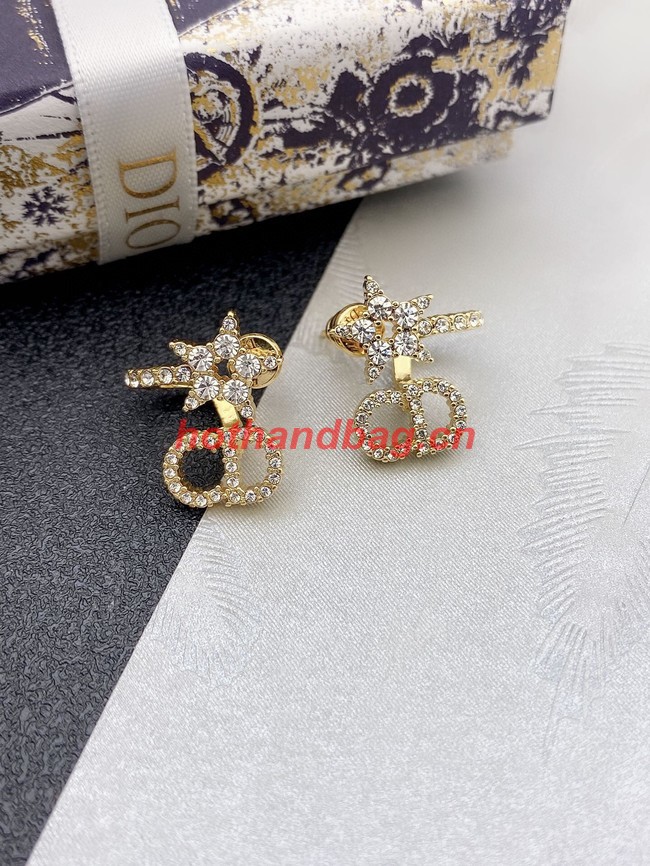 Dior Earrings CE10943