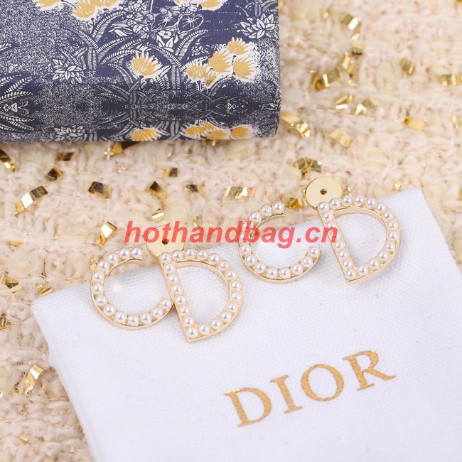 Dior Earrings CE11015