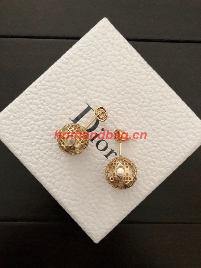 Dior Earrings CE11120