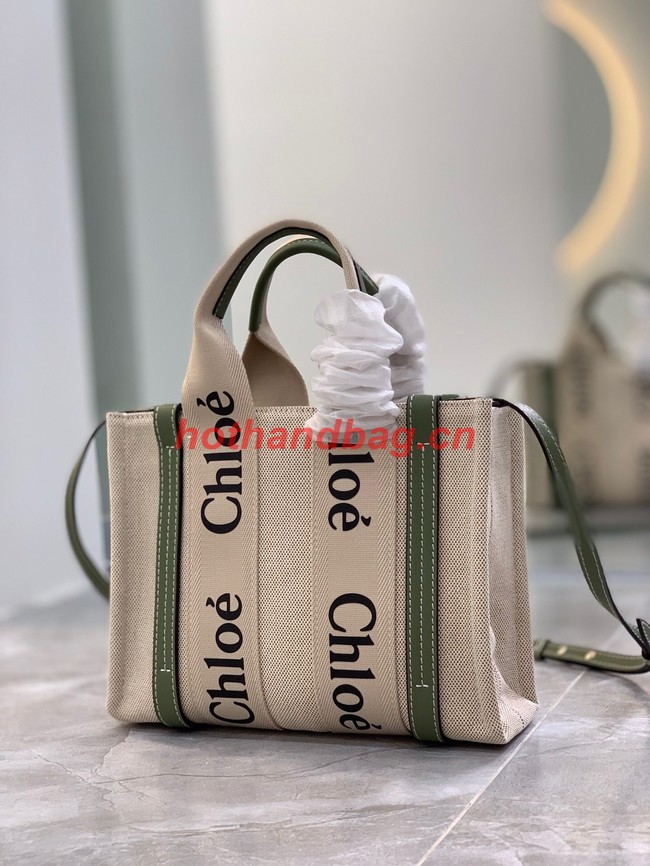 Chloe Cloth & leather 7576 green