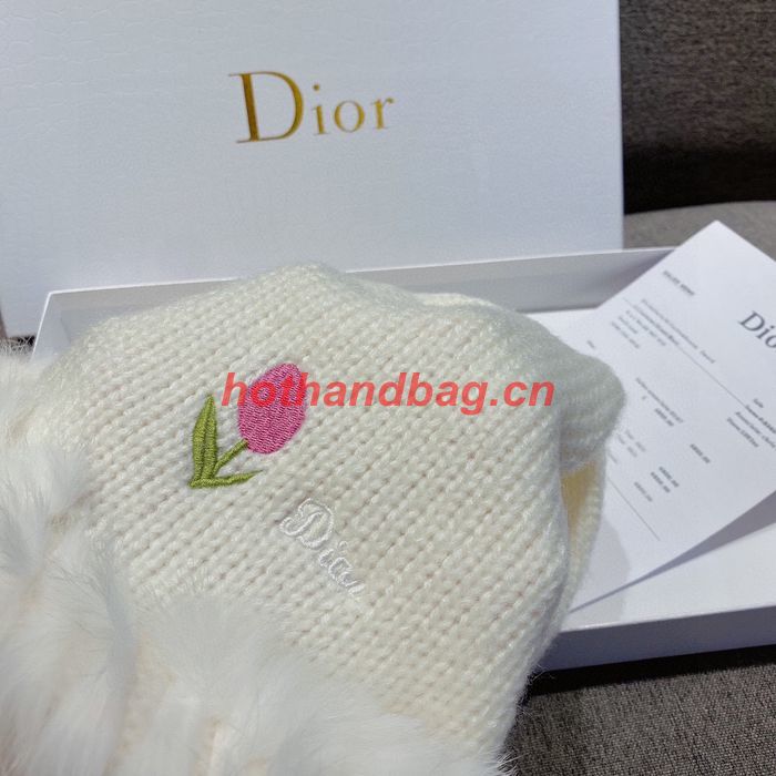 Dior Hat CDH00222