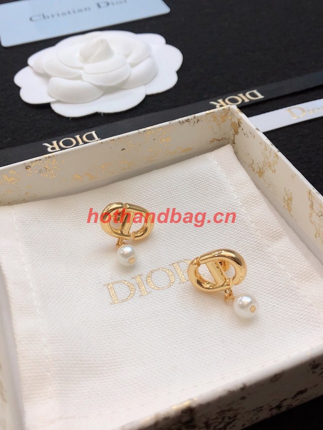 Dior Earrings CE11470