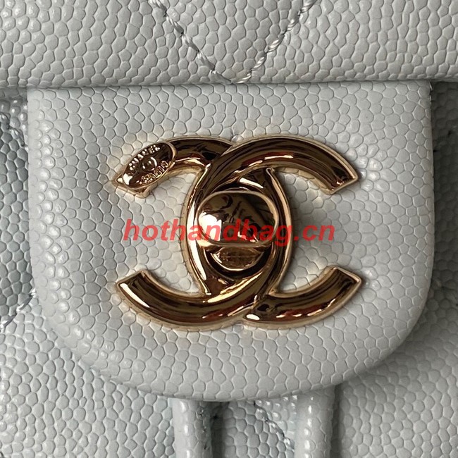 Chanel BACKPACK AS4058 Ice blue