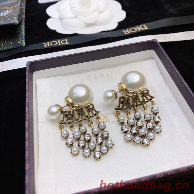 Dior Earrings CE11668