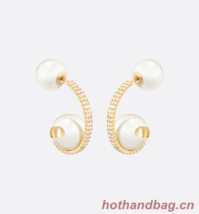 Dior Earrings CE11670