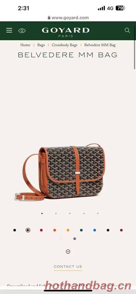 Goyard Calfskin Leather Delvedere MM Bag G36023 Brown