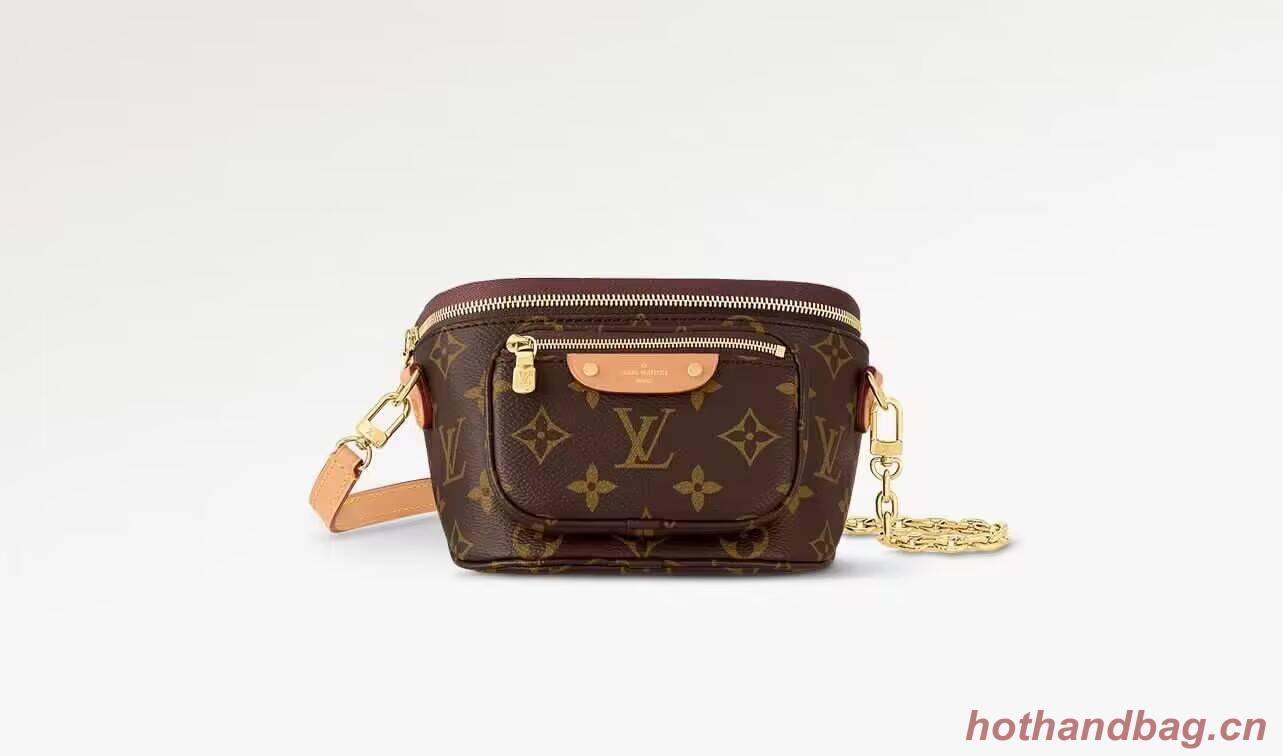 Louis Vuitton Monogram Canvas Waist Bag M30120