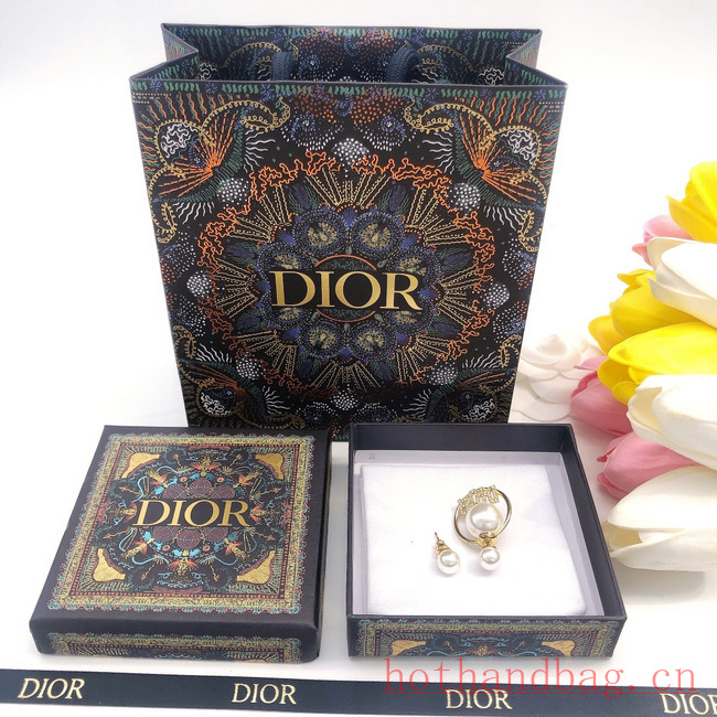 Dior Earrings CE12207