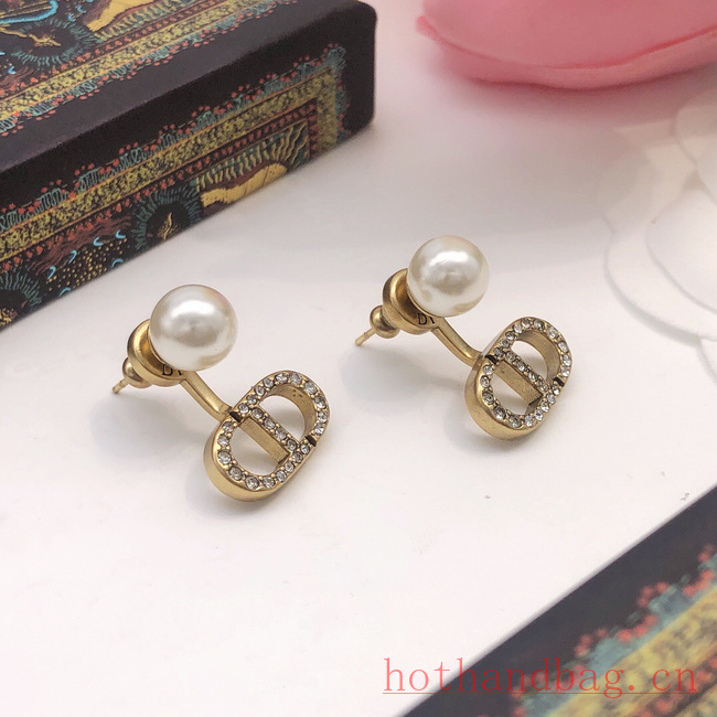 Dior Earrings CE12210