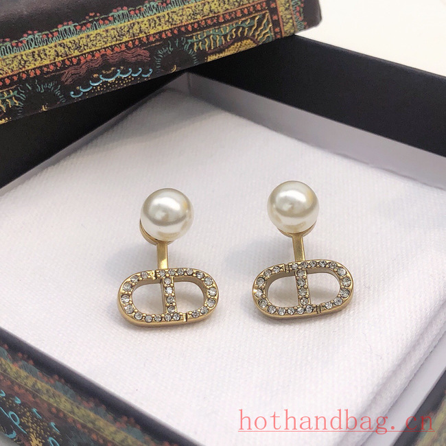 Dior Earrings CE12210