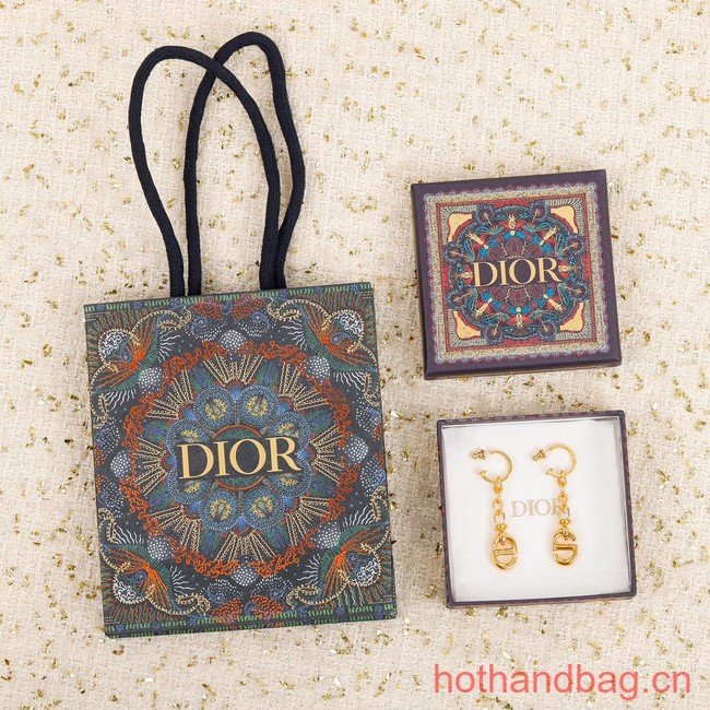 Dior Earrings CE12269