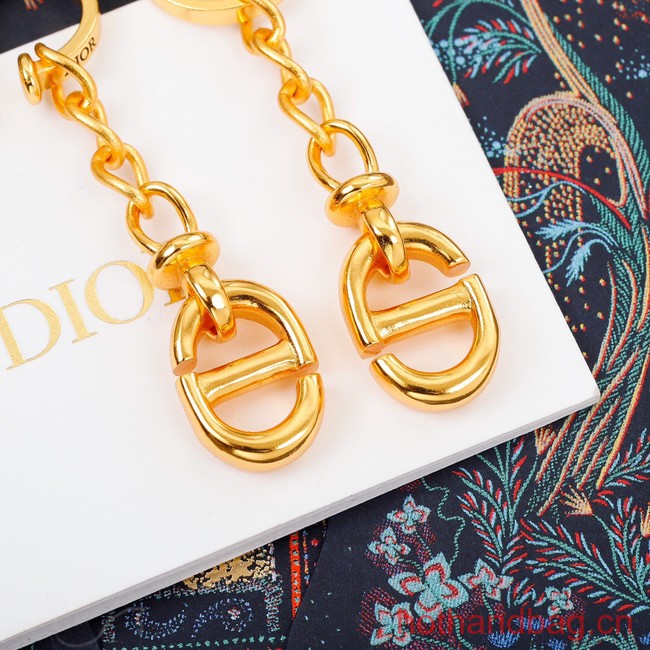 Dior Earrings CE12269