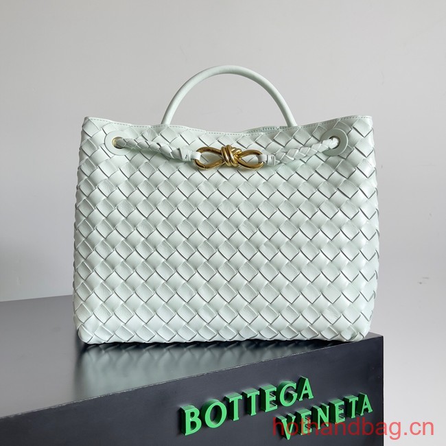 Bottega Veneta Medium Andiamo 743572 Ice Blue