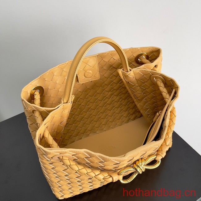 Bottega Veneta Medium Andiamo 743572 yellow