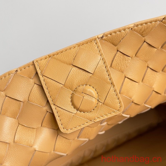 Bottega Veneta Medium Andiamo 743572 yellow