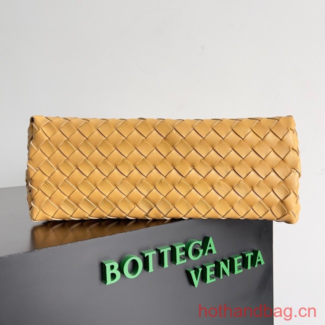 Bottega Veneta Medium Andiamo 743572 yellow