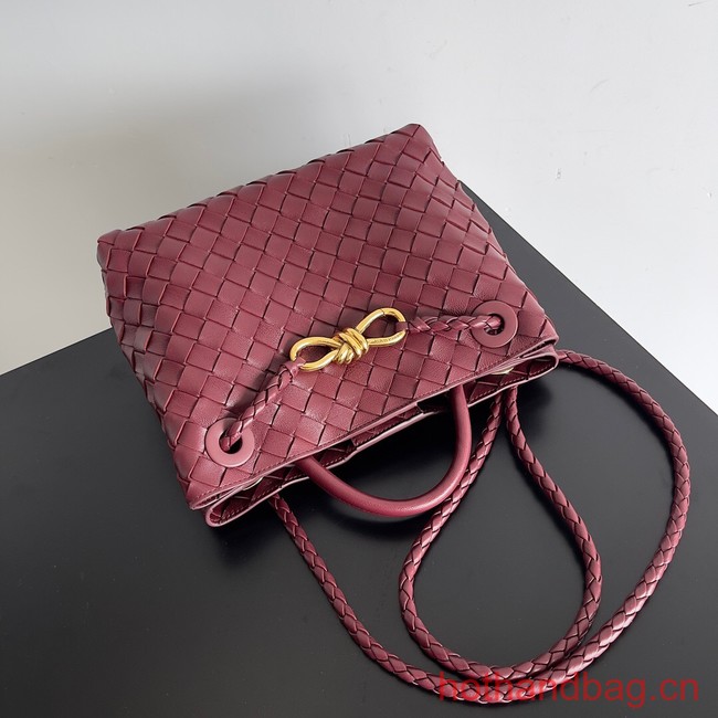 Bottega Veneta Small Andiamo 743568 Barolo