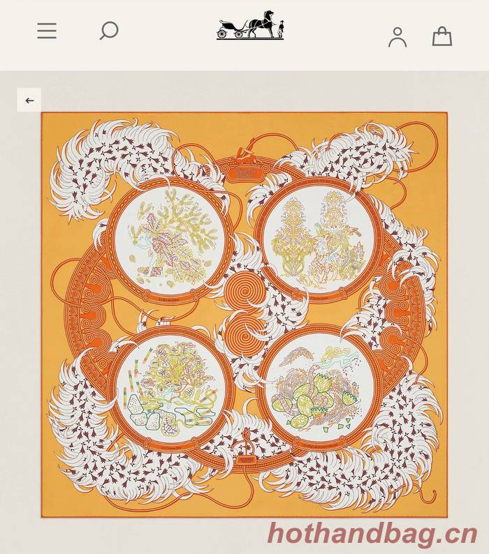 Hermes Scarf HEC00735