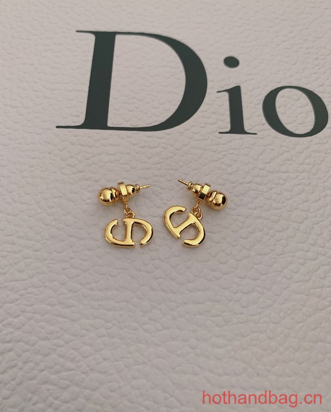 Dior Earrings CE12488