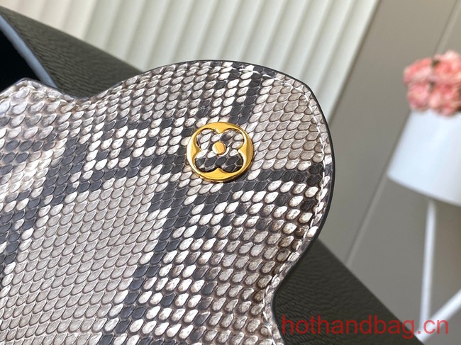 Louis Vuitton Capucines BB N48865 black