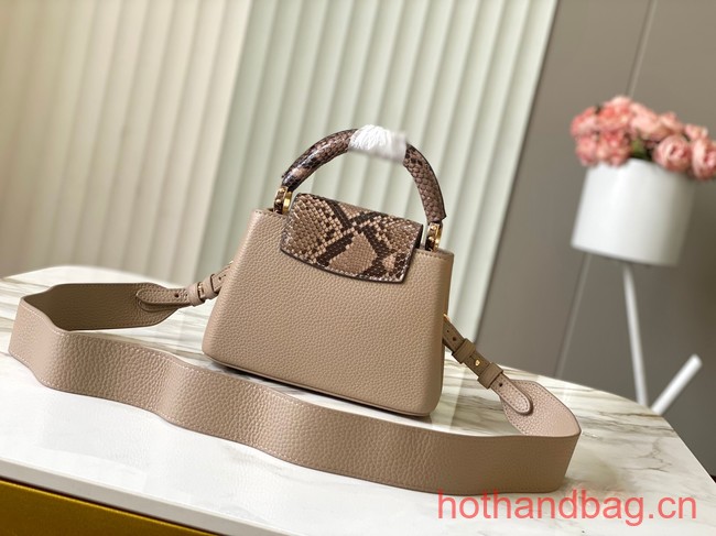 Louis Vuitton Capucines Mini N81209 gray