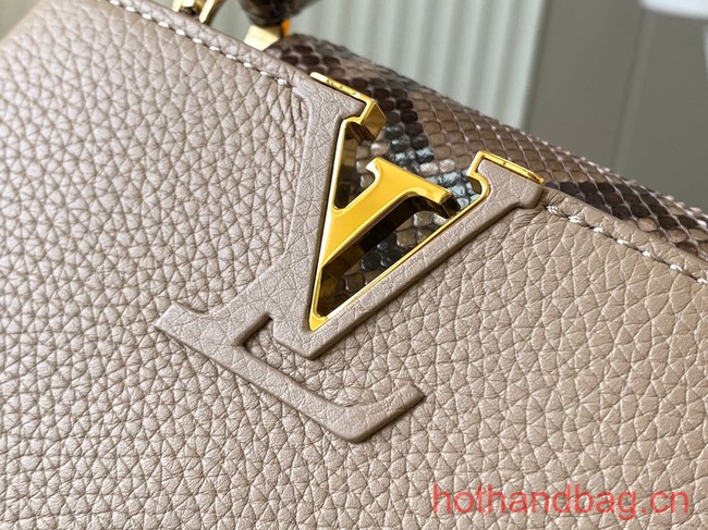 Louis Vuitton Capucines Mini N81209 gray