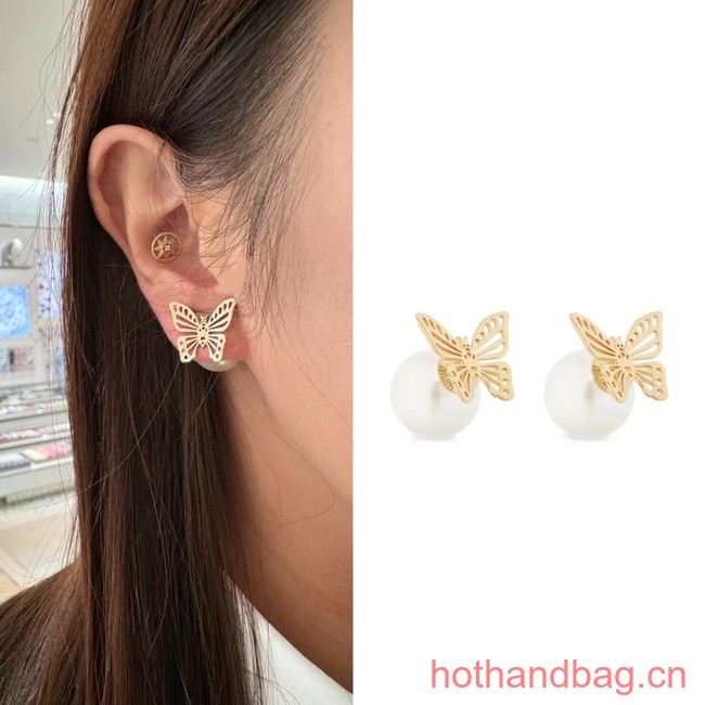 Dior Earrings CE12695