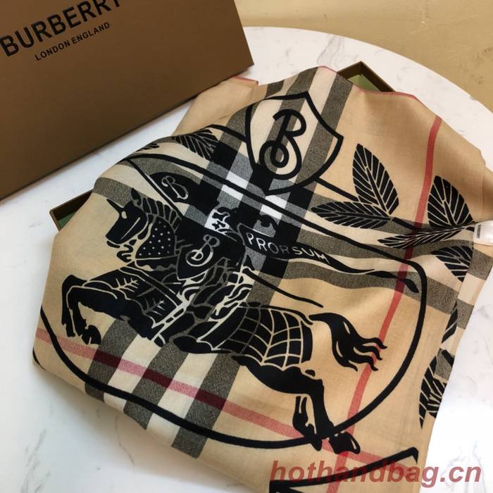 Burberry Scarf BBC00155