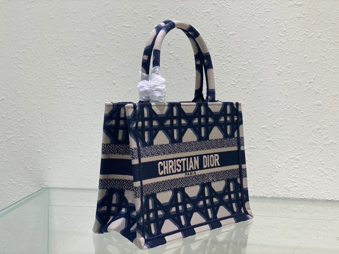 SMALL DIOR BOOK TOTE Beige and Blue Macrocannage Embroidery M1296ZRG