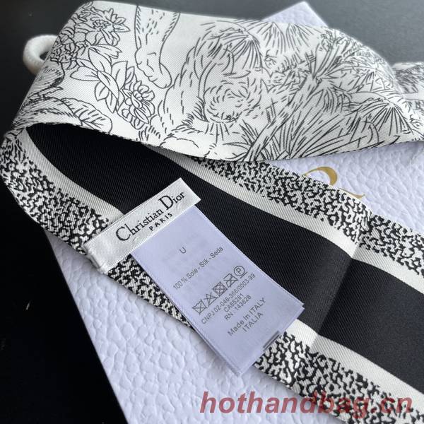 Dior Scarf DIC00213