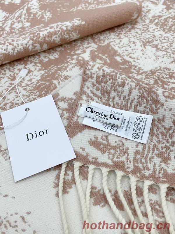 Dior Scarf DIC00223