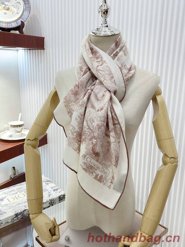 Dior Scarf DIC00225