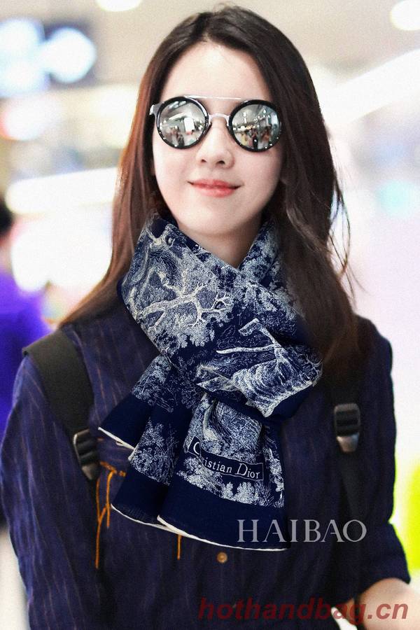 Dior Scarf DIC00226