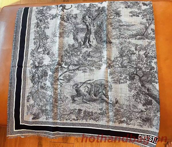 Dior Scarf DIC00269