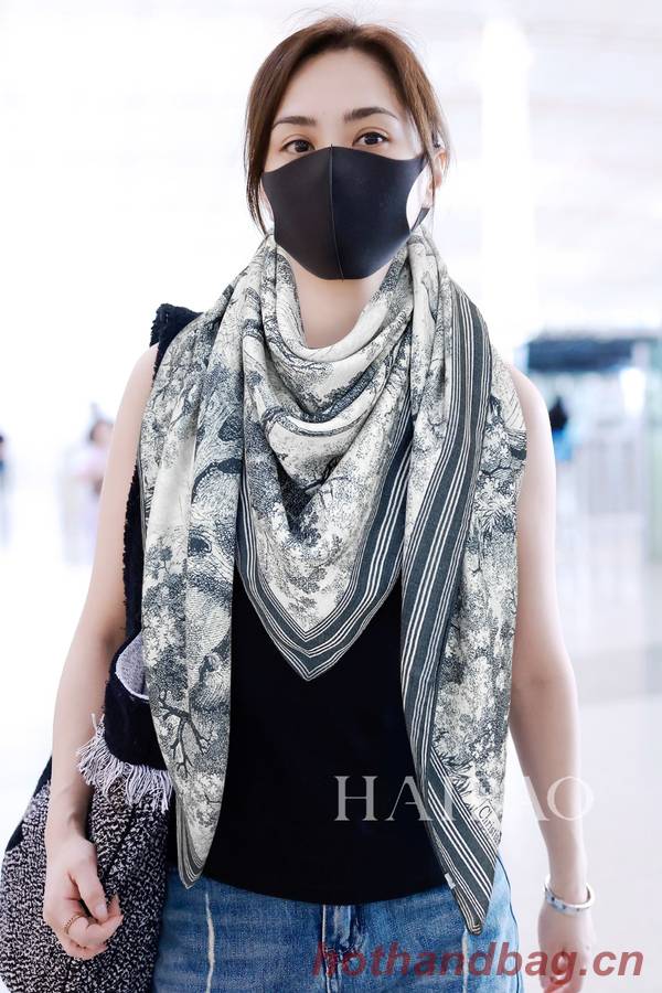 Dior Scarf DIC00276