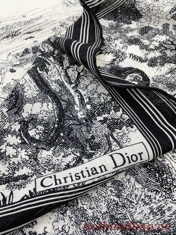 Dior Scarf DIC00299