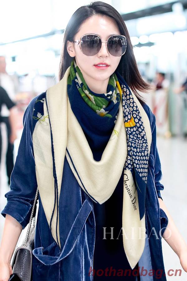 Dior Scarf DIC00304