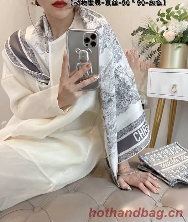 Dior Scarf DIC00331