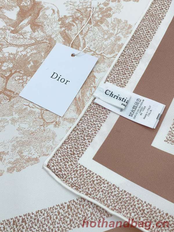 Dior Scarf DIC00333