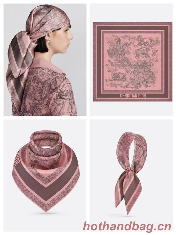 Dior Scarf DIC00334