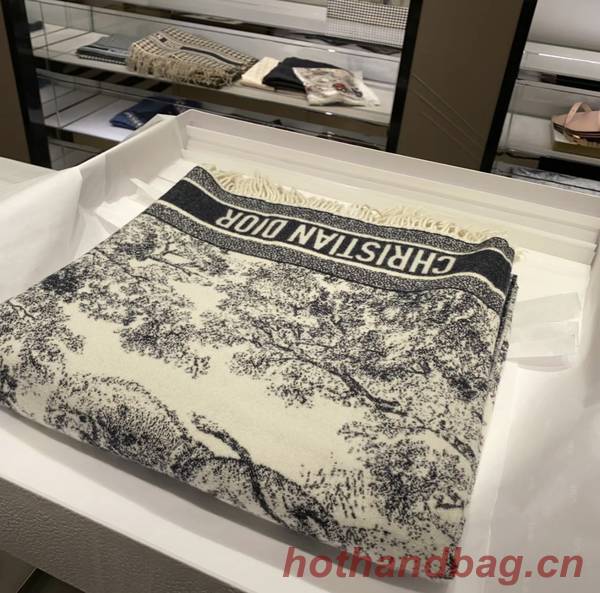 Dior Blanket DIC00337